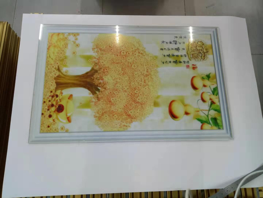 3D vertical wall printer / landscape wall coating digital varnish inkjet printer