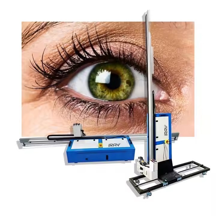72 KG Intelligent Digital Wall Printer for Metal Ceramic Glass Wood Art Inkjet in Machinery Repair Shops